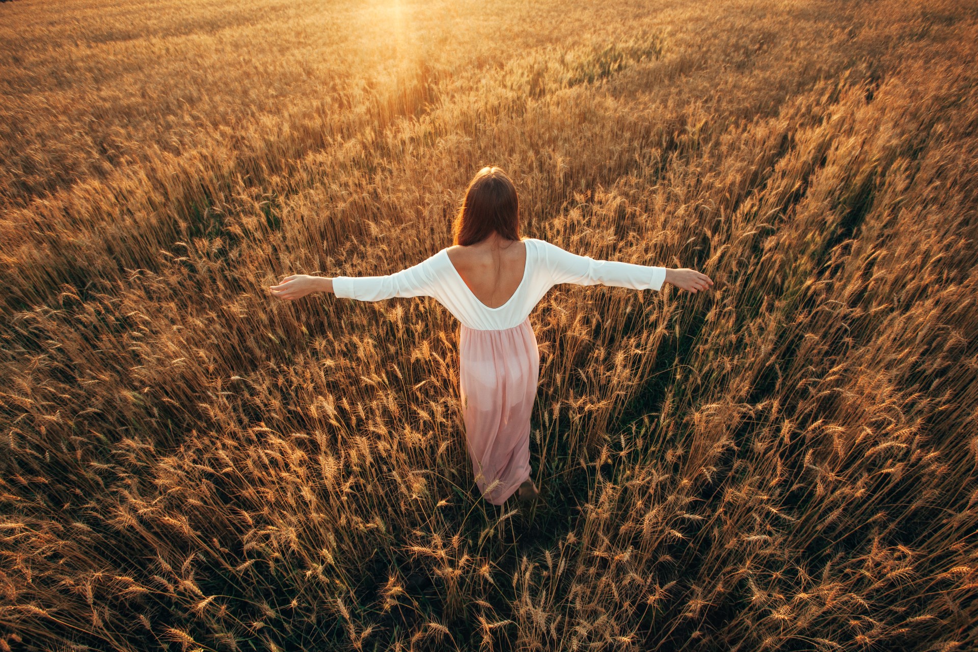 Beautiful brunette lady in wheat field at sunset